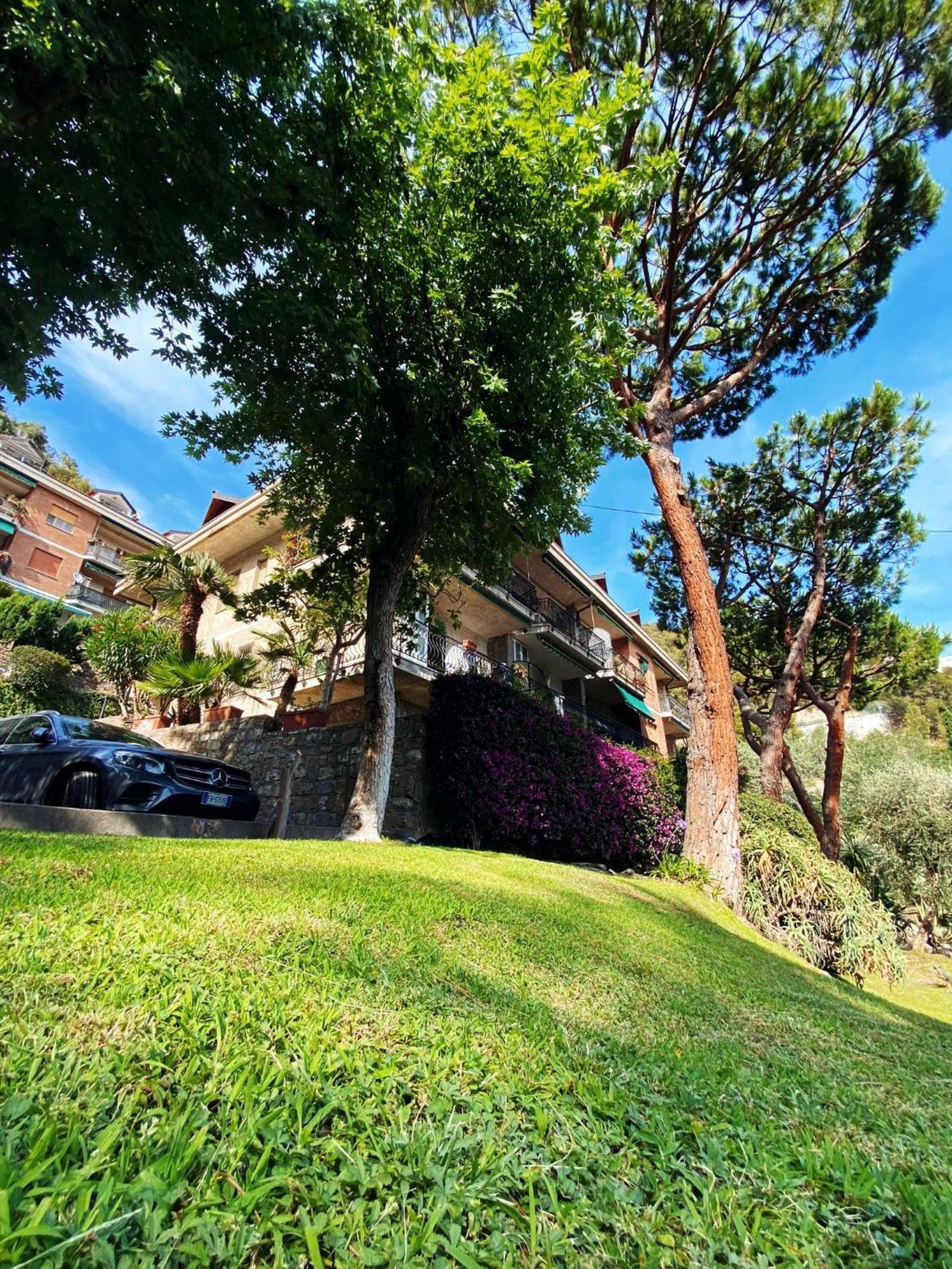 Casetta Dei Ricci Vallecrosia Exteriör bild